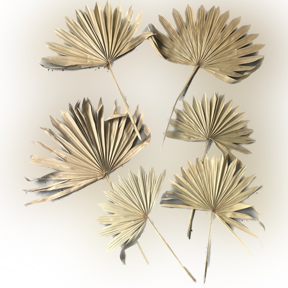 palm leaves